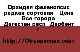 Орхидея фаленопсис редкая сортовая › Цена ­ 800 - Все города  »    . Дагестан респ.,Дербент г.
